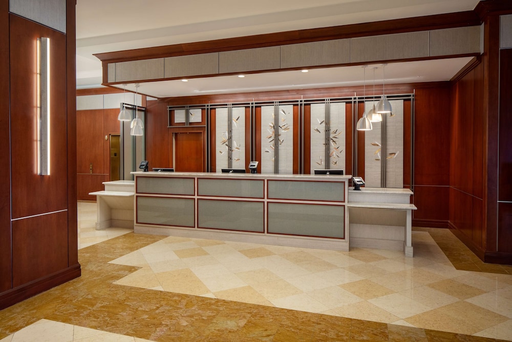 Hilton St. Petersburg Carillon Park - photo 4