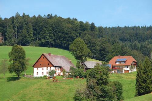 Baschijörgenhof in Sankt Peter, Germany