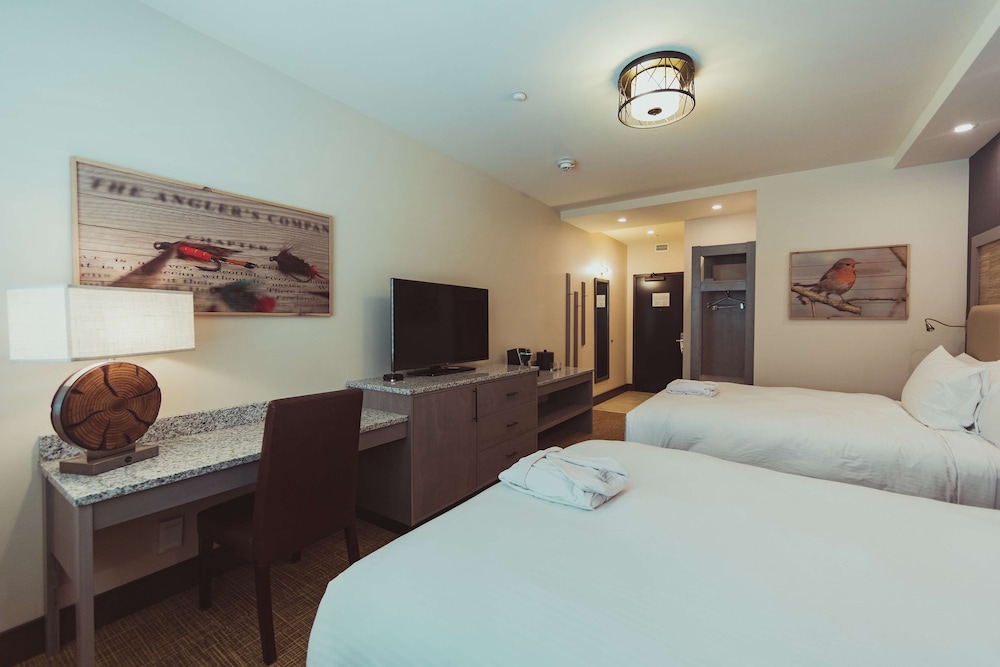 Tailwater Lodge Altmar Tapestry Collection by Hilton - photo 34