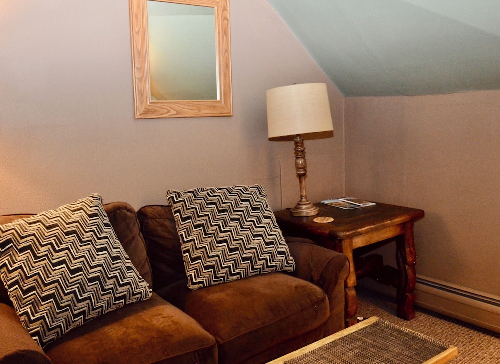 Ouray Main Street Inn - photo 48