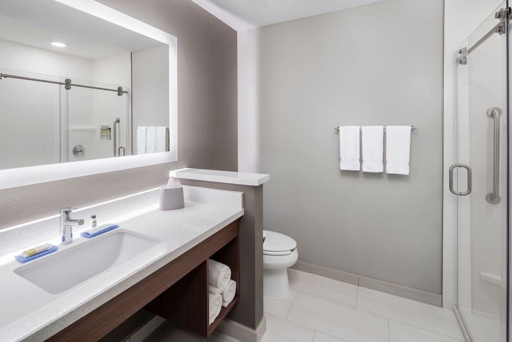 Holiday Inn Express & Suites Odessa I 20 by IHG - photo 37