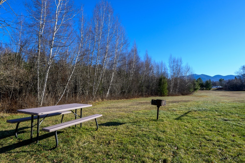 Gale River Motel - photo 70