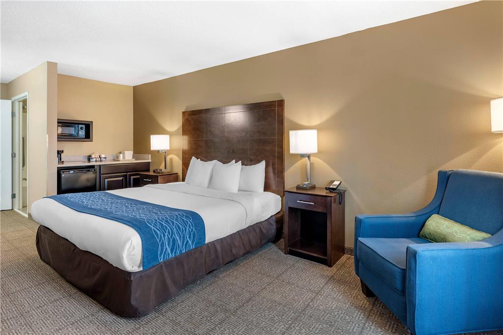 Comfort Inn & Suites Bryant Benton - photo 24