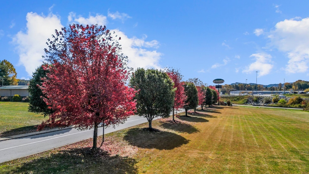 Mountain Inn & Suites - photo 35