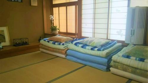 Anbeeena — Akita — photo 4