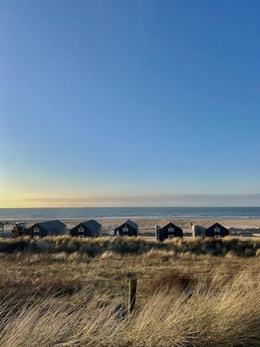 Sisters Beachbungalows — hotel in Katwijk Aan Zee