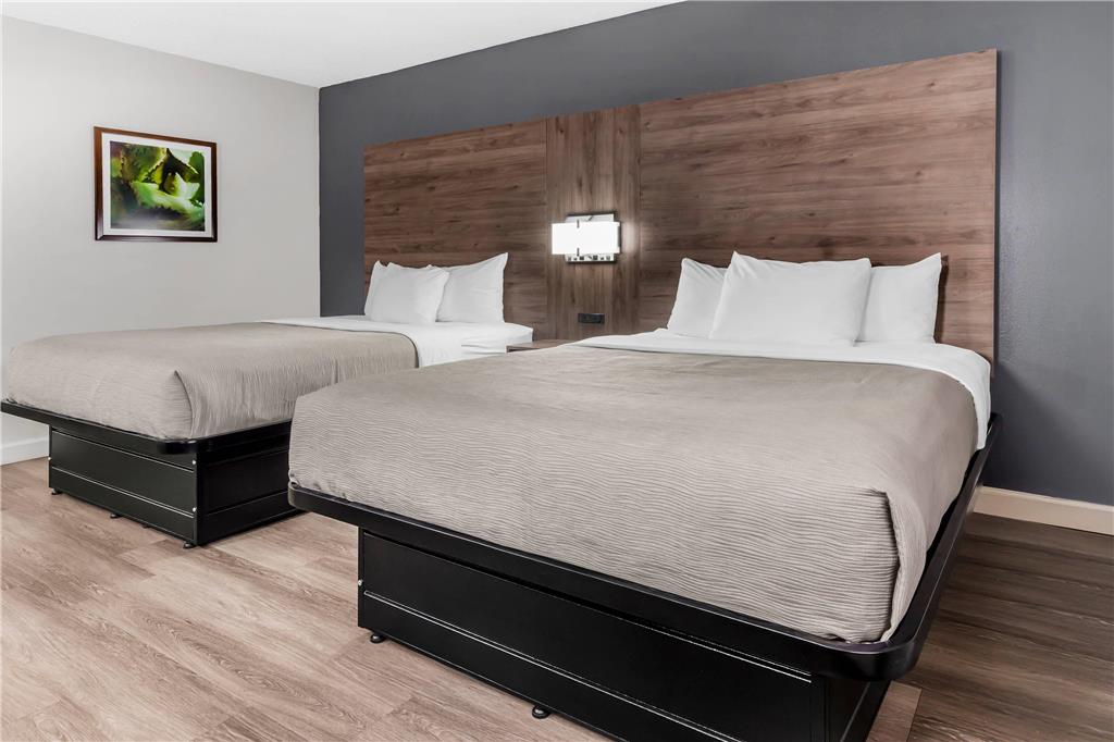 Quality Inn & Suites Raleigh Durham Airport - photo 15