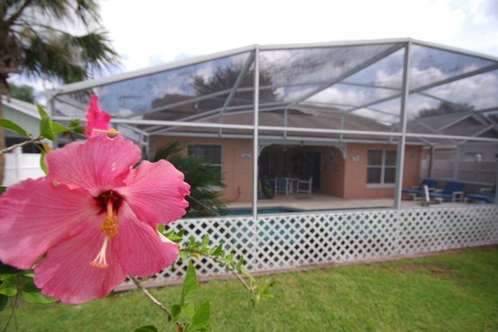 Florida Breeze - photo 54