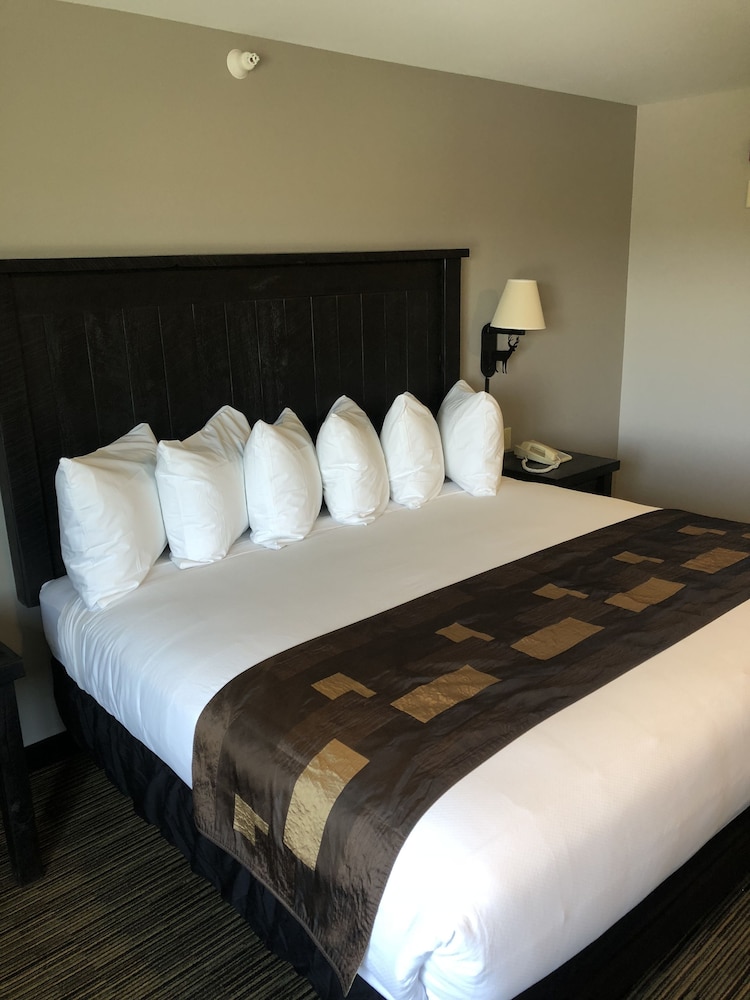 Kelly Inn West Yellowstone - photo 15