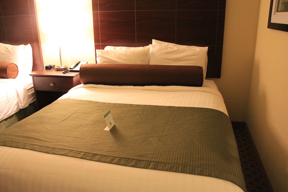 Castle Rock Inn & Suites - photo 13
