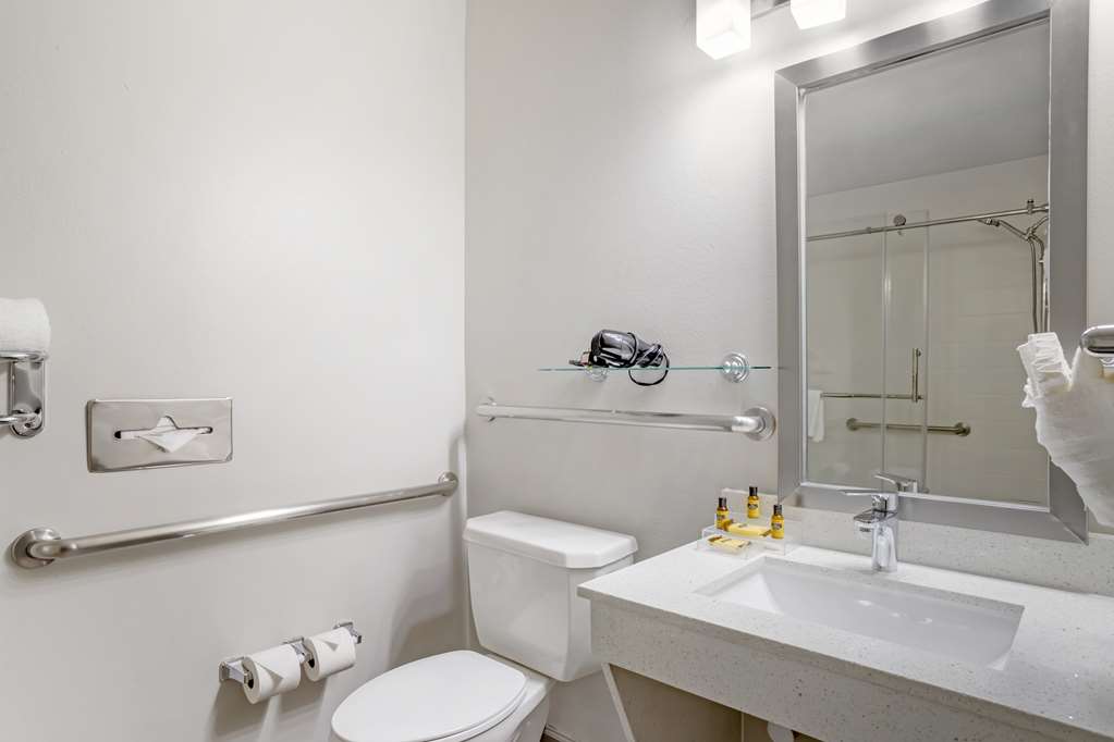 Best Western Plus Hobby Airport Inn & Suites - photo 27