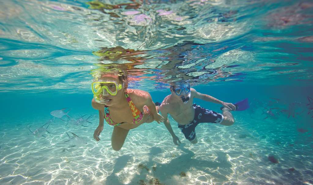 snorkel