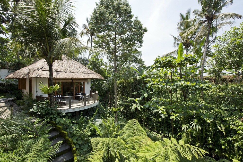 Mambo Villa Ubud — 4-Star Luxury Hotel in Ubud, Indonesia