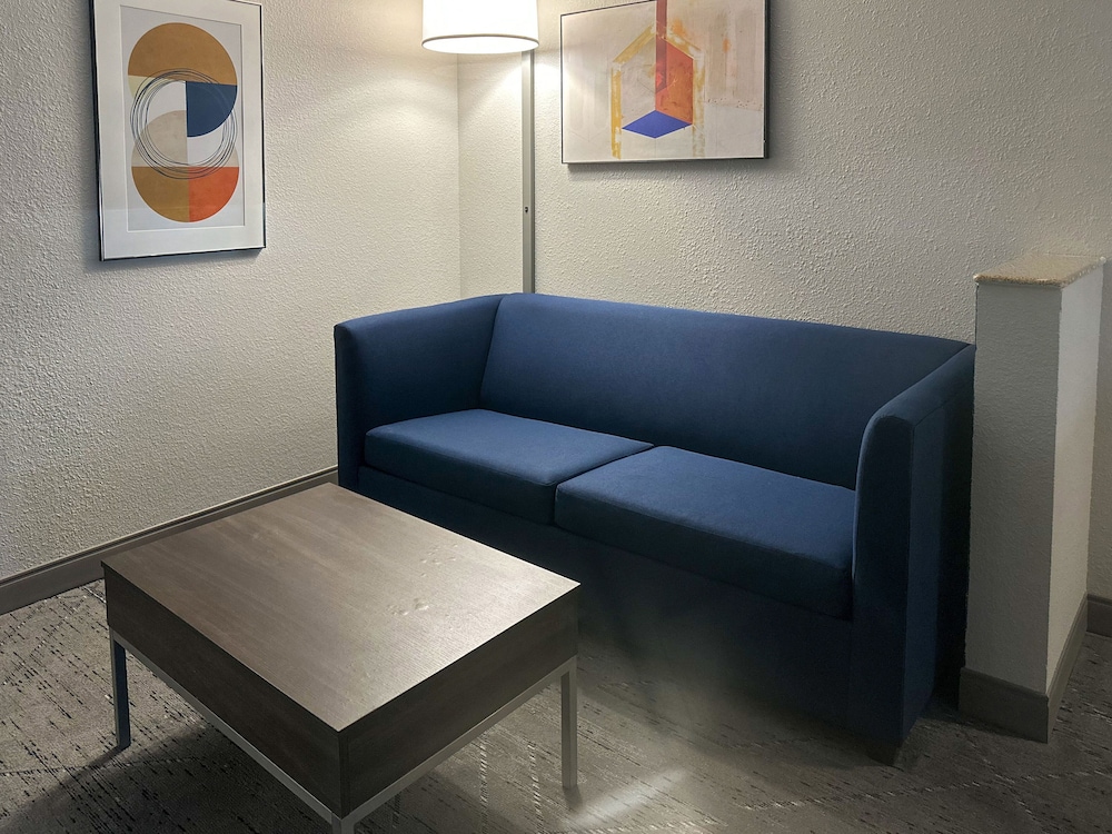 Holiday Inn Express Hotel & Suites Ennis by IHG - photo 9