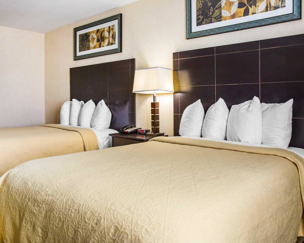 Quality Inn Woodside - photo 13