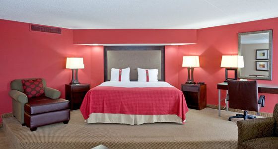 Holiday Inn Olathe Medical Center - photo 7