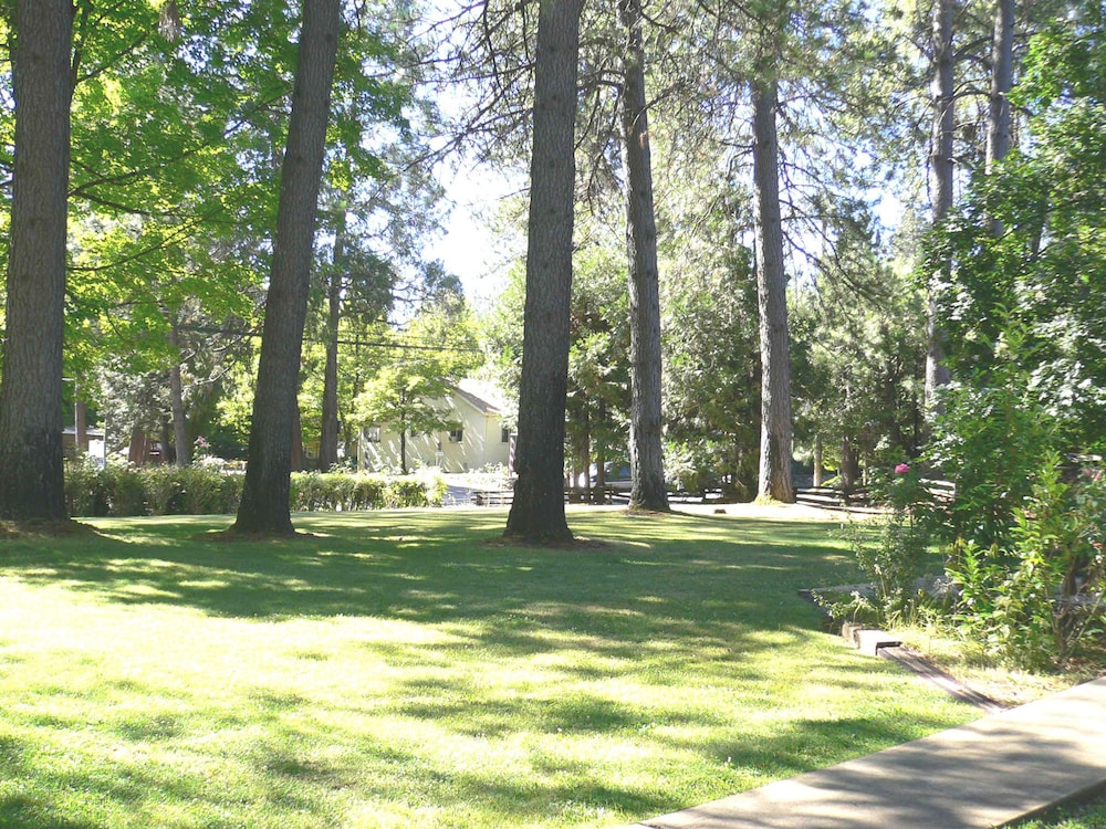 Nevada City Inn - photo 13