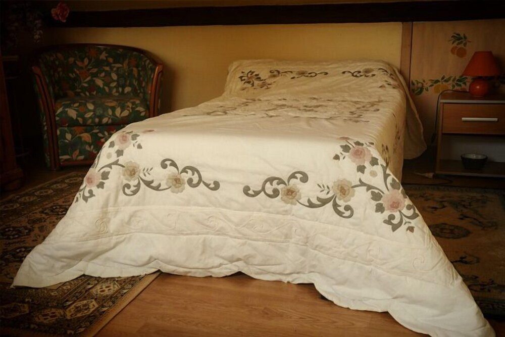 Gîte Camélia — Salbris — photo 3
