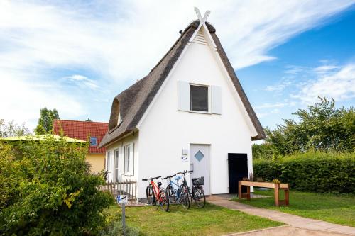 B 3 Reethaus Albatros — hotel in Gramkow