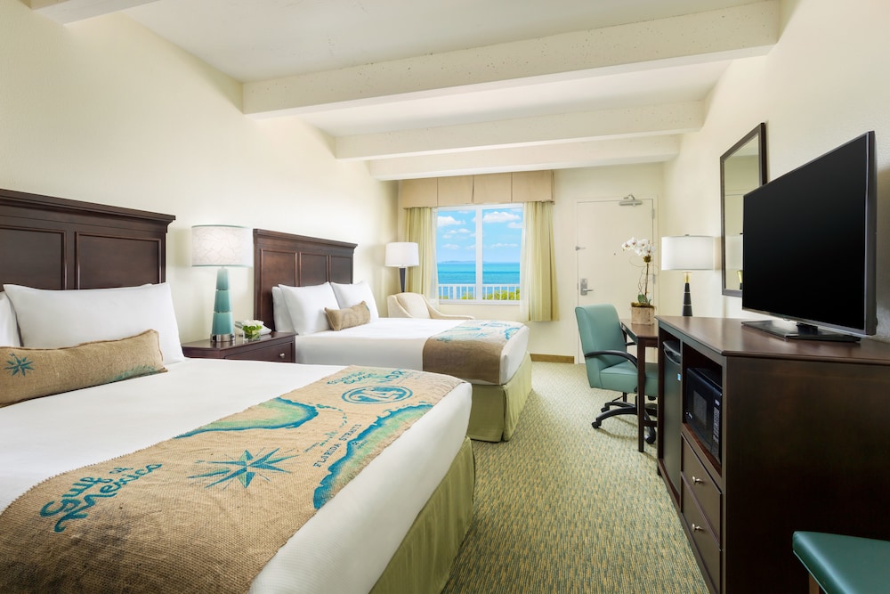 Blue Flamingo Resort Key West - photo 5