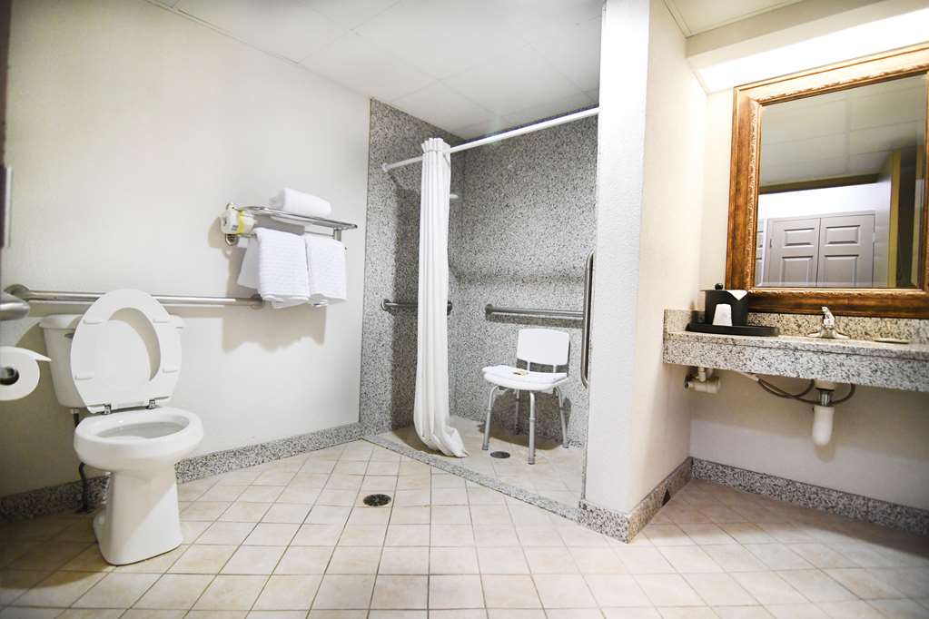 Best Western Plus Sandusky Hotel & Suites - photo 41