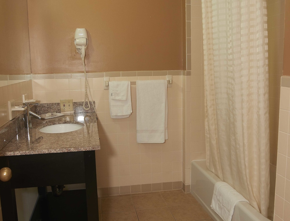 New World Inn - photo 26