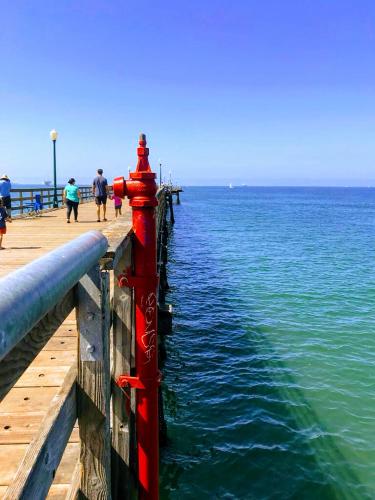California Dreamin' - photo 31