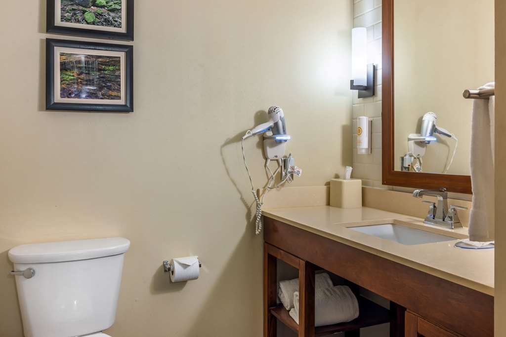 Comfort Inn & Suites at CrossPlex Village - photo 25