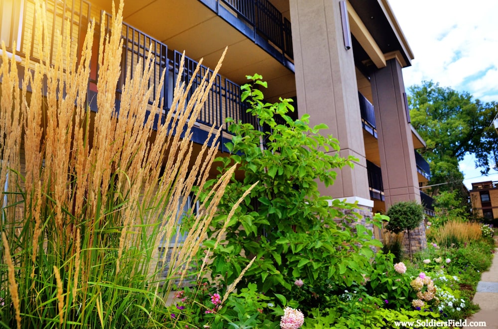 Centerstone Plaza Hotel Soldiers Field Mayo Clinic Area - photo 9