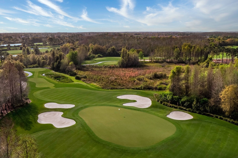 The Ritz Carlton Orlando Grande Lakes - photo 91