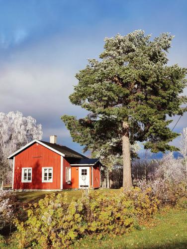 Gårdshus - carbon neutral hotel in Lit