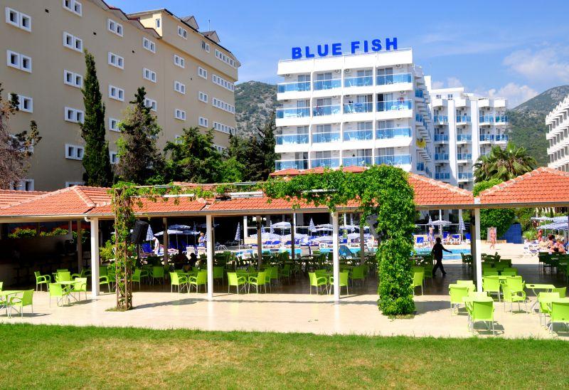 Blue Fish — Alanya — photo 3