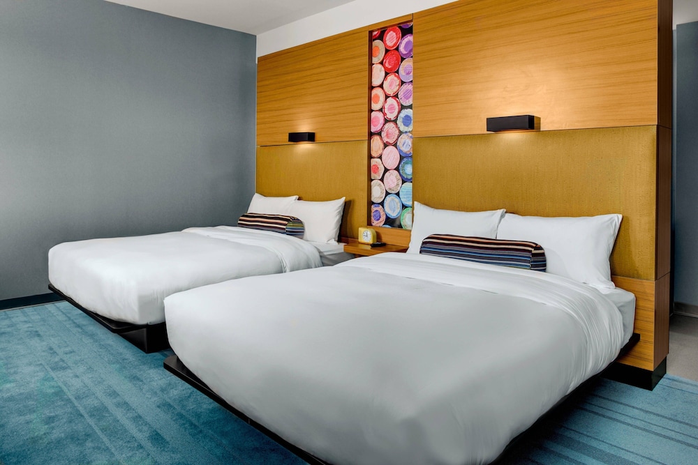 Aloft Chapel Hill - photo 4