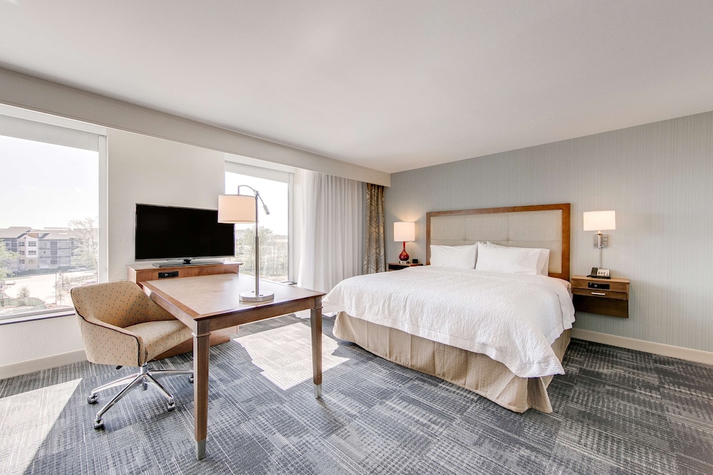 Hampton Inn & Suites North Houston Spring - photo 8