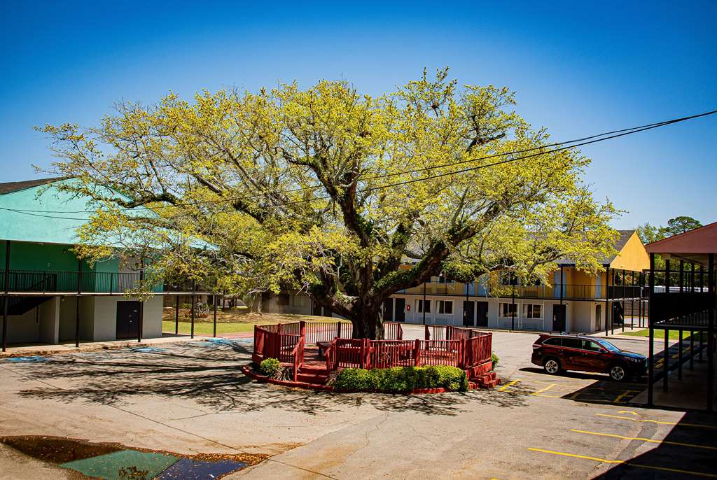 Super 8 by Wyndham Biloxi - photo 51