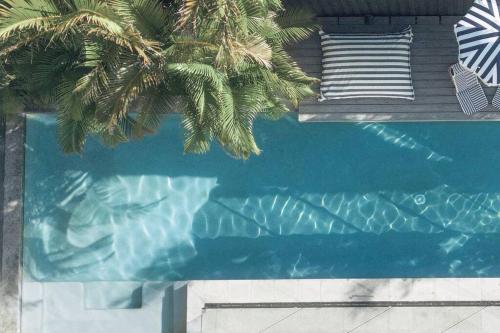 14m Mineral Pool Paddle Boards Creek Access — Kingscliff