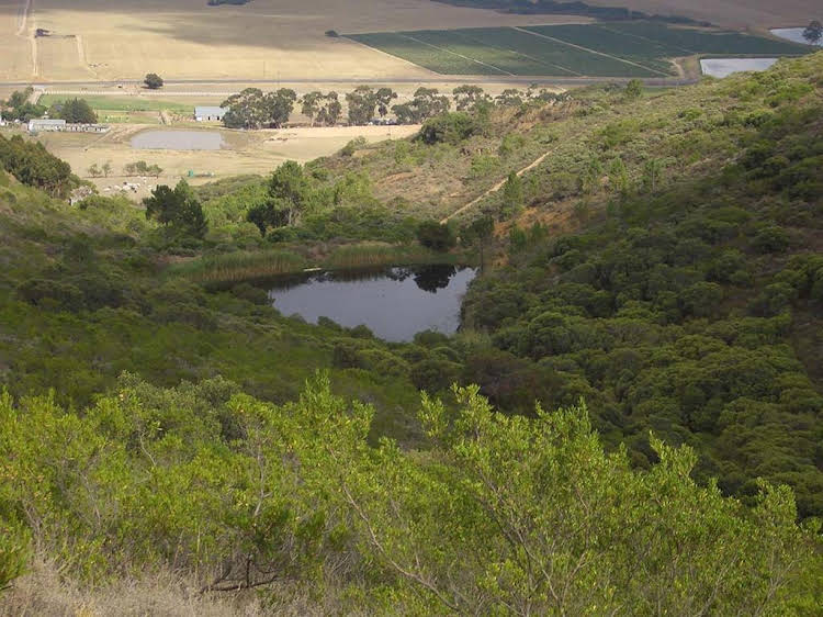 Paarl Diamant Equestrian And Guest Farm in Paarl, South Africa