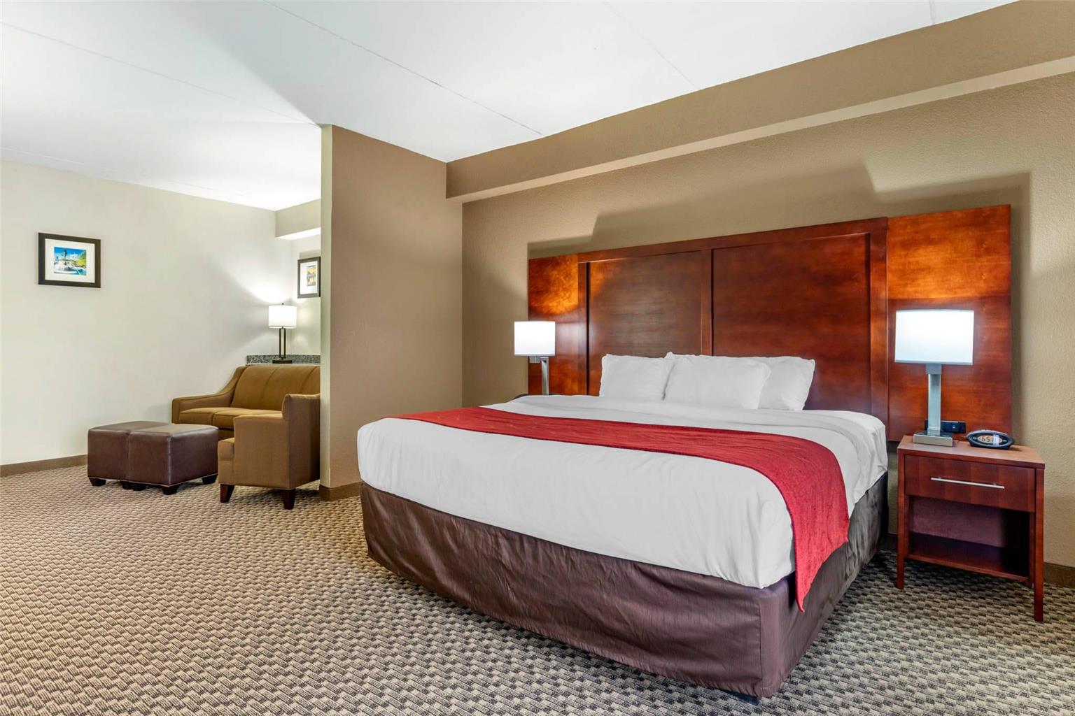 Comfort Suites Smyrna Nashville Area - photo 22