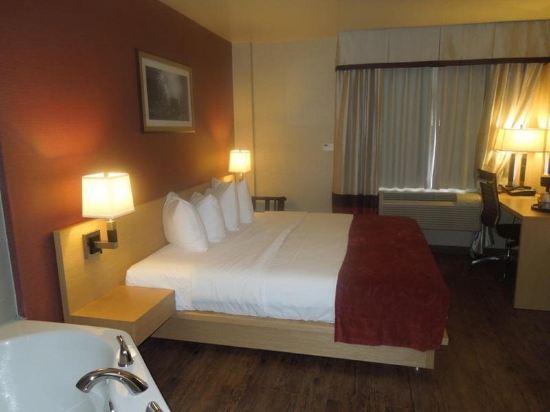 Hotel Lynx - photo 16