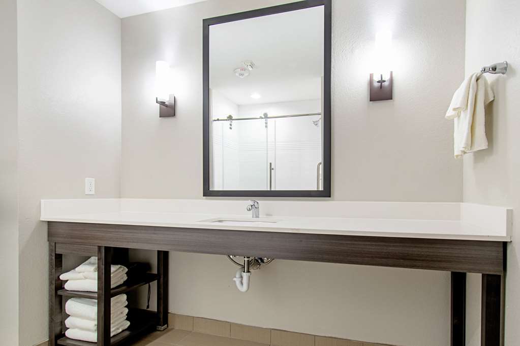 Comfort Suites Humble Houston IAH - photo 22
