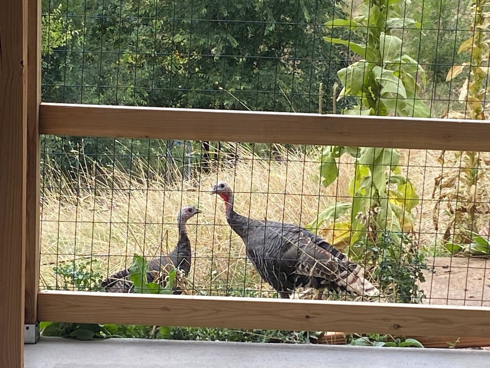 Skyline by the Lake Gateway to Northern Colorado in Fort Collins, United States