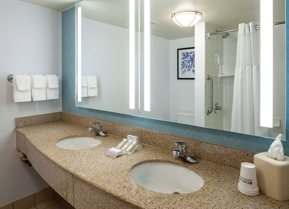 Hilton Garden Inn Chicago OHare Airport - photo 24