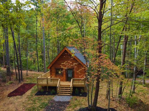 Emerald Forest Romance Luxury and nature mins to PF and GB — 4-Star Luxury Hotel in Sevierville, United States