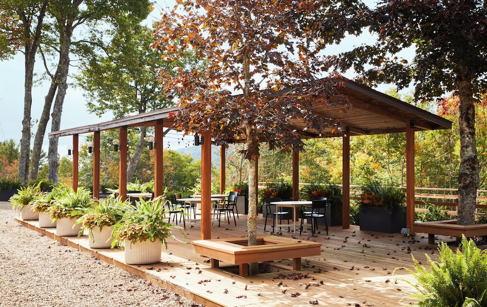 Skyline Lodge - photo 17