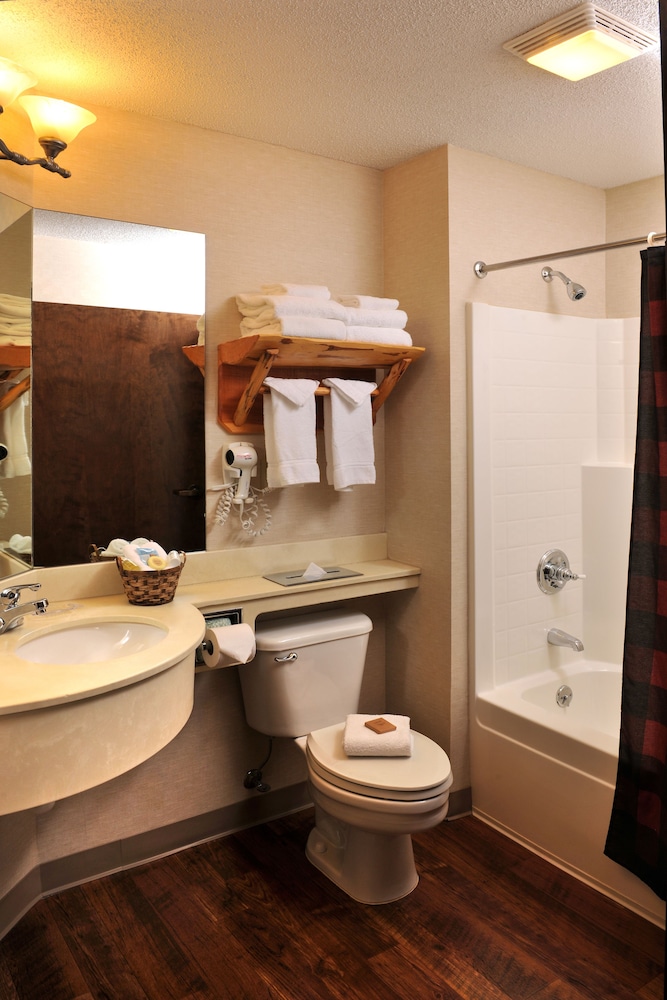 Stoney Creek Hotel St. Joseph - photo 26