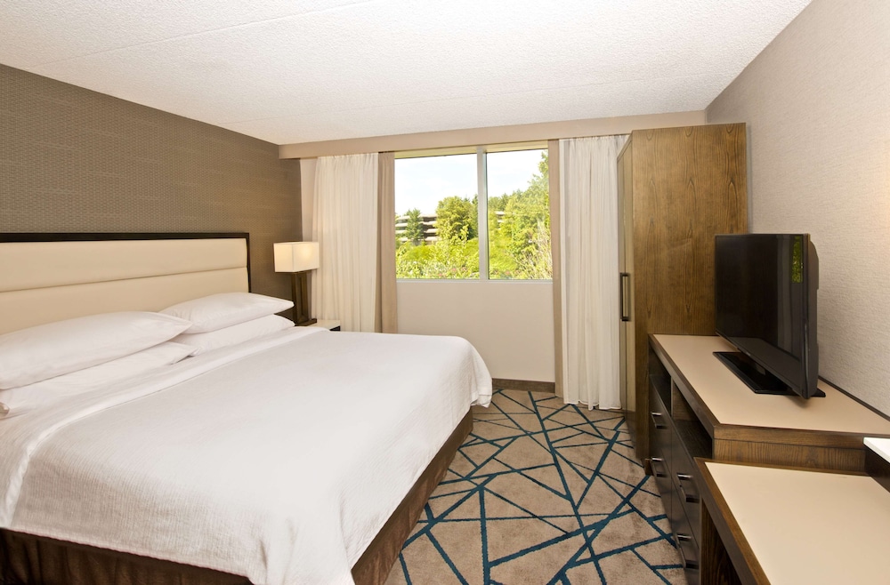 Embassy Suites by Hilton Seattle Bellevue - photo 28