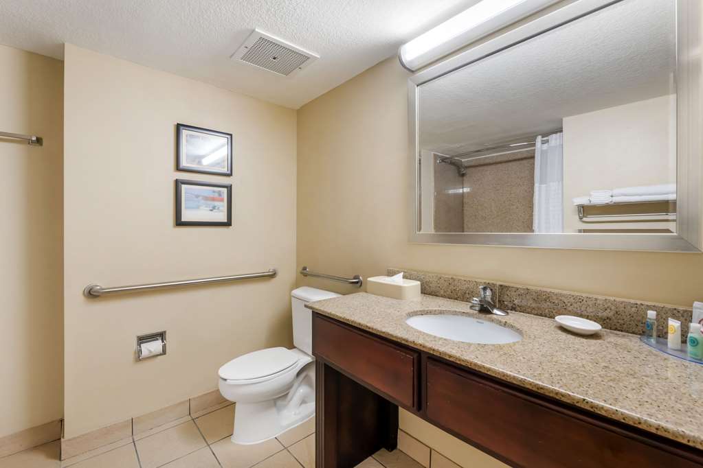 Comfort Inn & Suites Tavares North - photo 14