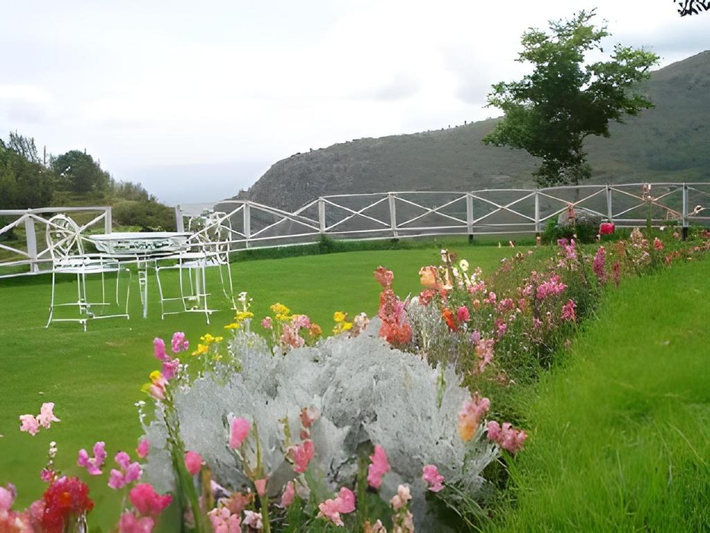 Mystique Ville - last minute hotel in Ooty