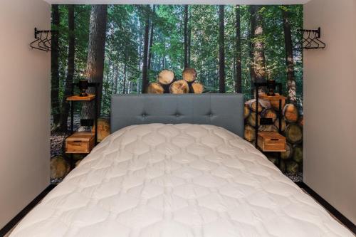Comfortabel 2 Persoons Vakantiehuis Nabij Bos In Drenthe — Schoonoord