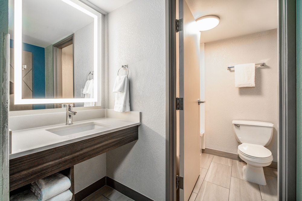 Holiday Inn Express & Suites Phoenix Mesa West by IHG - photo 13